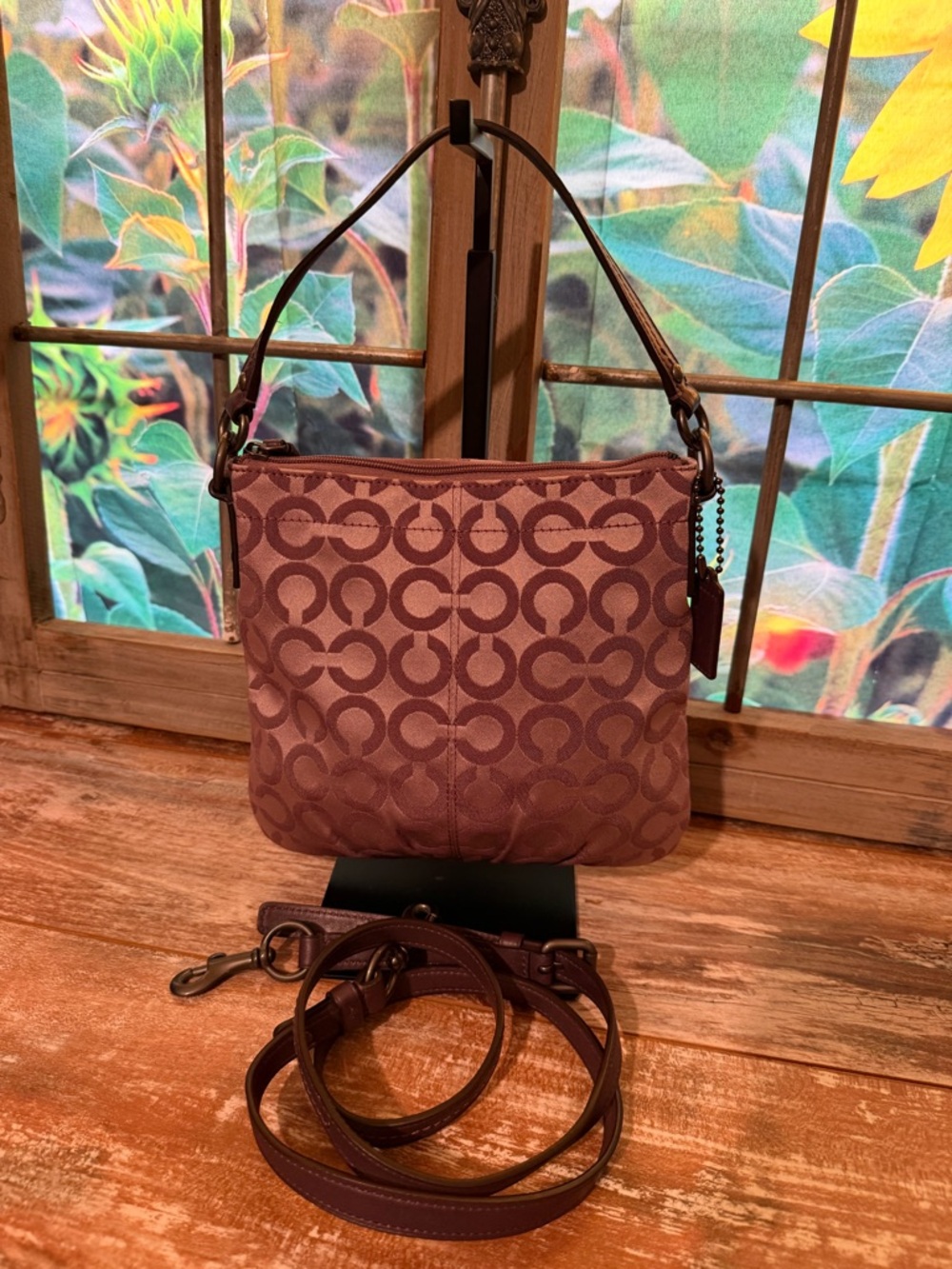 Coach Brooke Signature Opt Art Crossbody
